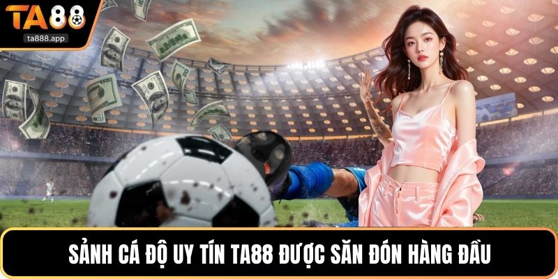 Sảnh cá độ uy tín Ta88 được săn đón hàng đầu